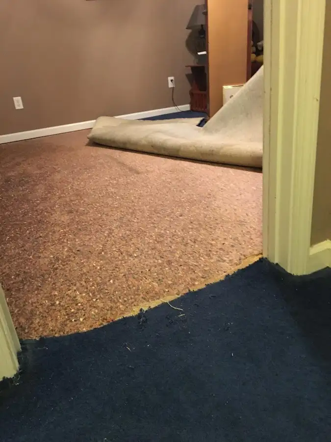 Carpet pad removal revealing water damage during Drying & Dehumidification in Agoura Hills