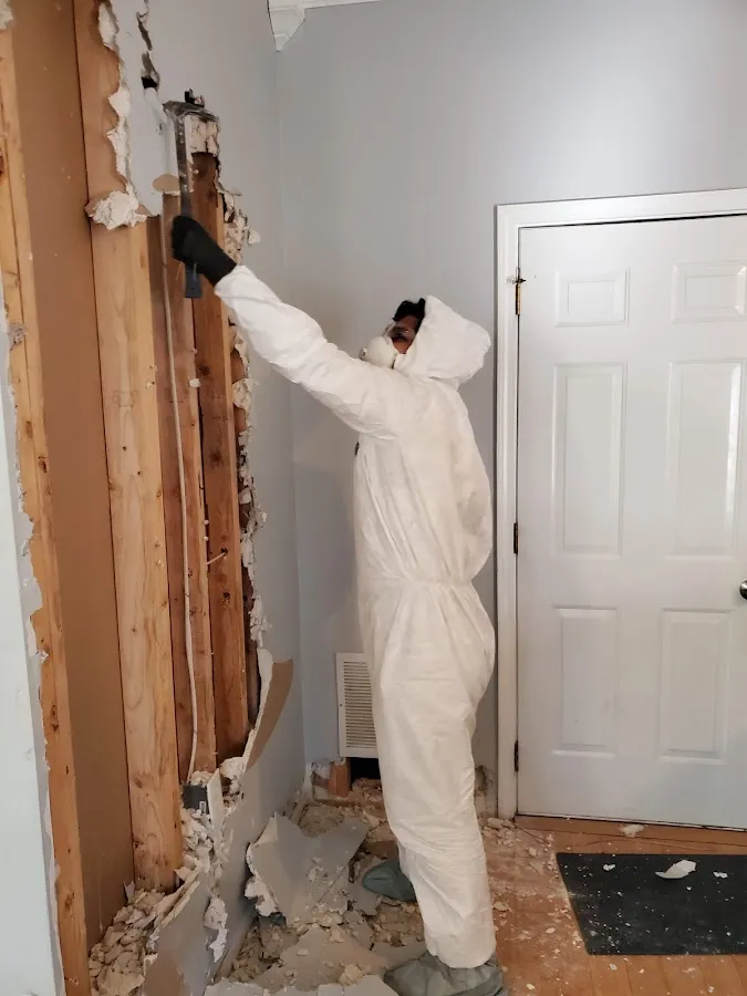 Flood Damage Cleanup in Agoura Hills, CA